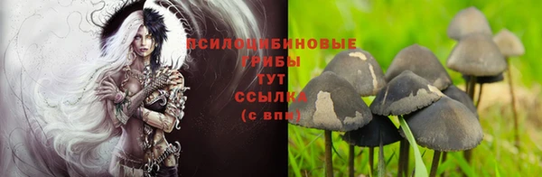 кокаин перу Арсеньев